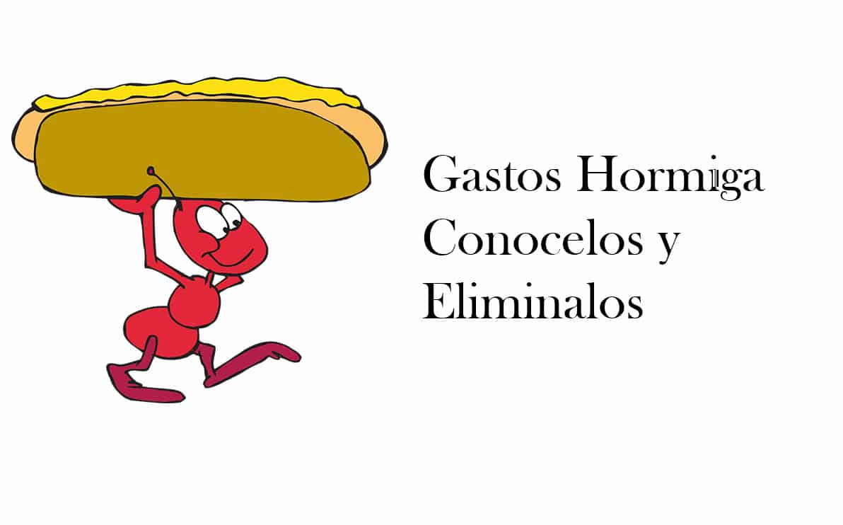 Gastos Hormiga